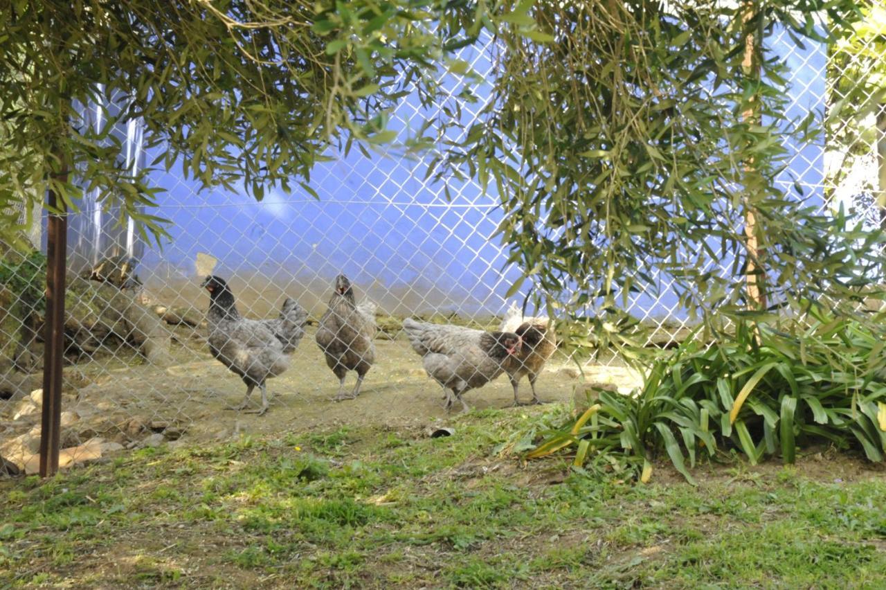 Finca La Cantarera Tarifa Dış mekan fotoğraf